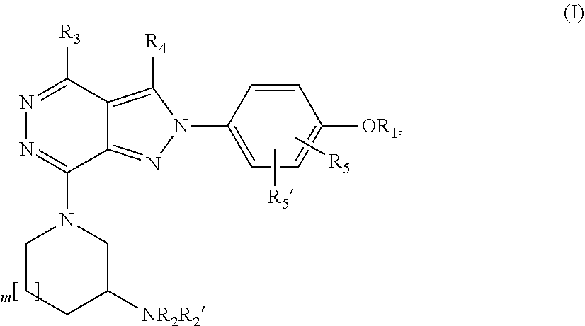 Substituted pyrrolidinyl and piperidinyl pyrazolopyridazine derivatives having multimodal activity against pain