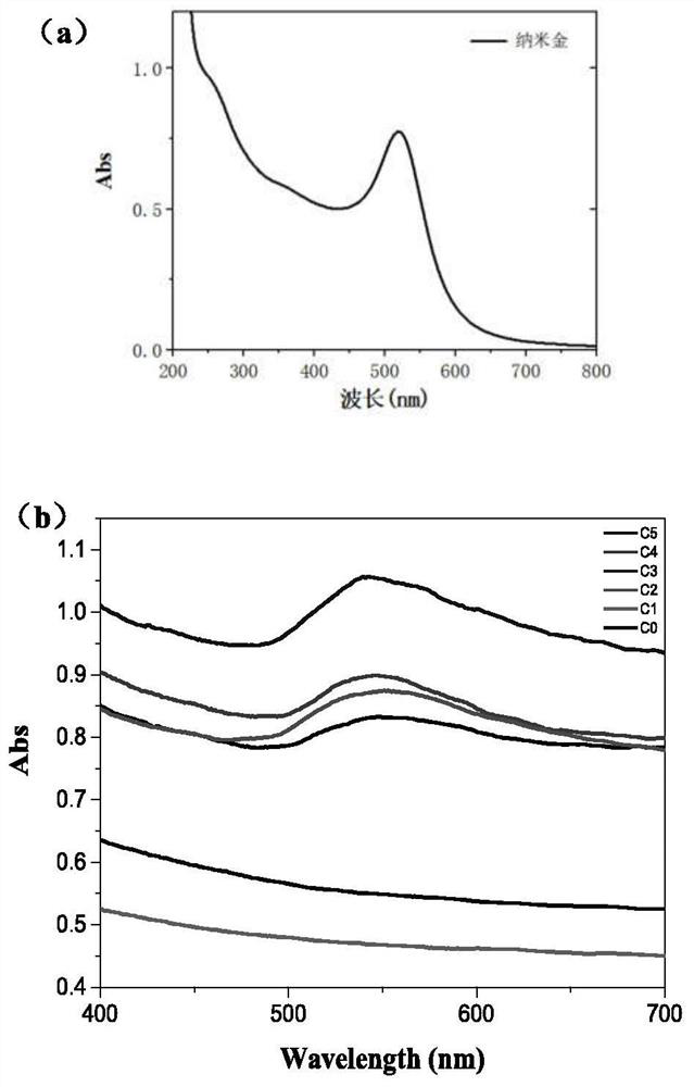 Sporopollen-nanogold compound as well as preparation method and application thereof