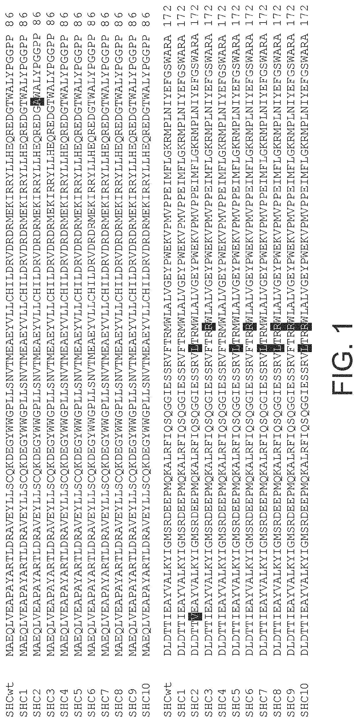 Enzymes and applications thereof
