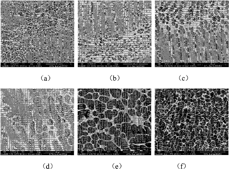 Endogenous ductile phase reinforced ti-based amorphous composite material and preparation method thereof