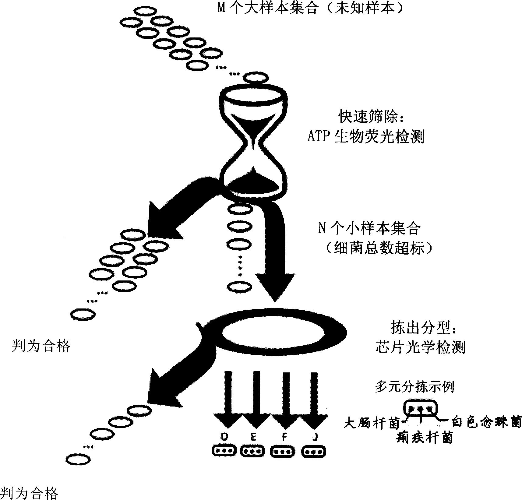 Multi-sample microbial pollution fast screening method