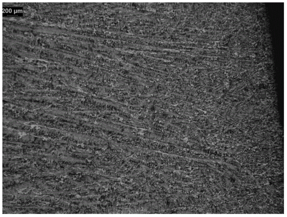 A method for displaying dendrite morphology of gear steel continuous casting billet