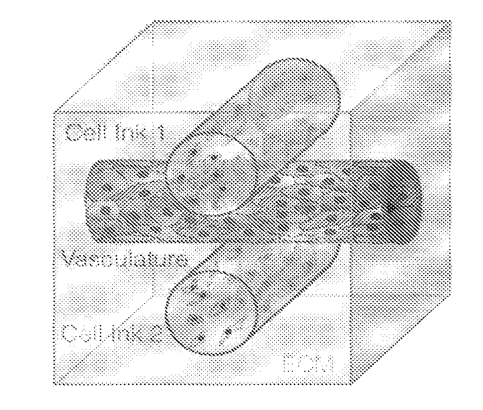 Method of printing a tissue construct with embedded vasculature