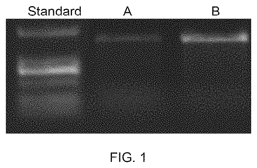 Compositions and methods for treating leber?s hereditary optic neuropathy