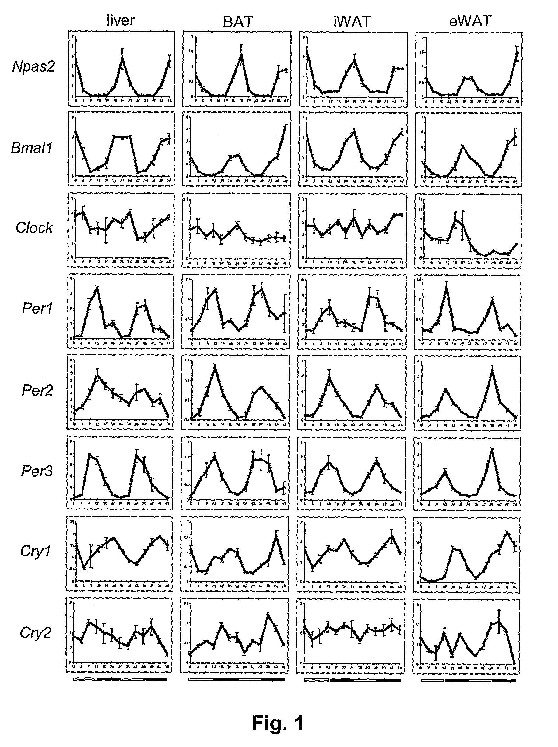 Modulation of Peripheral Clocks in Adipose Tissue