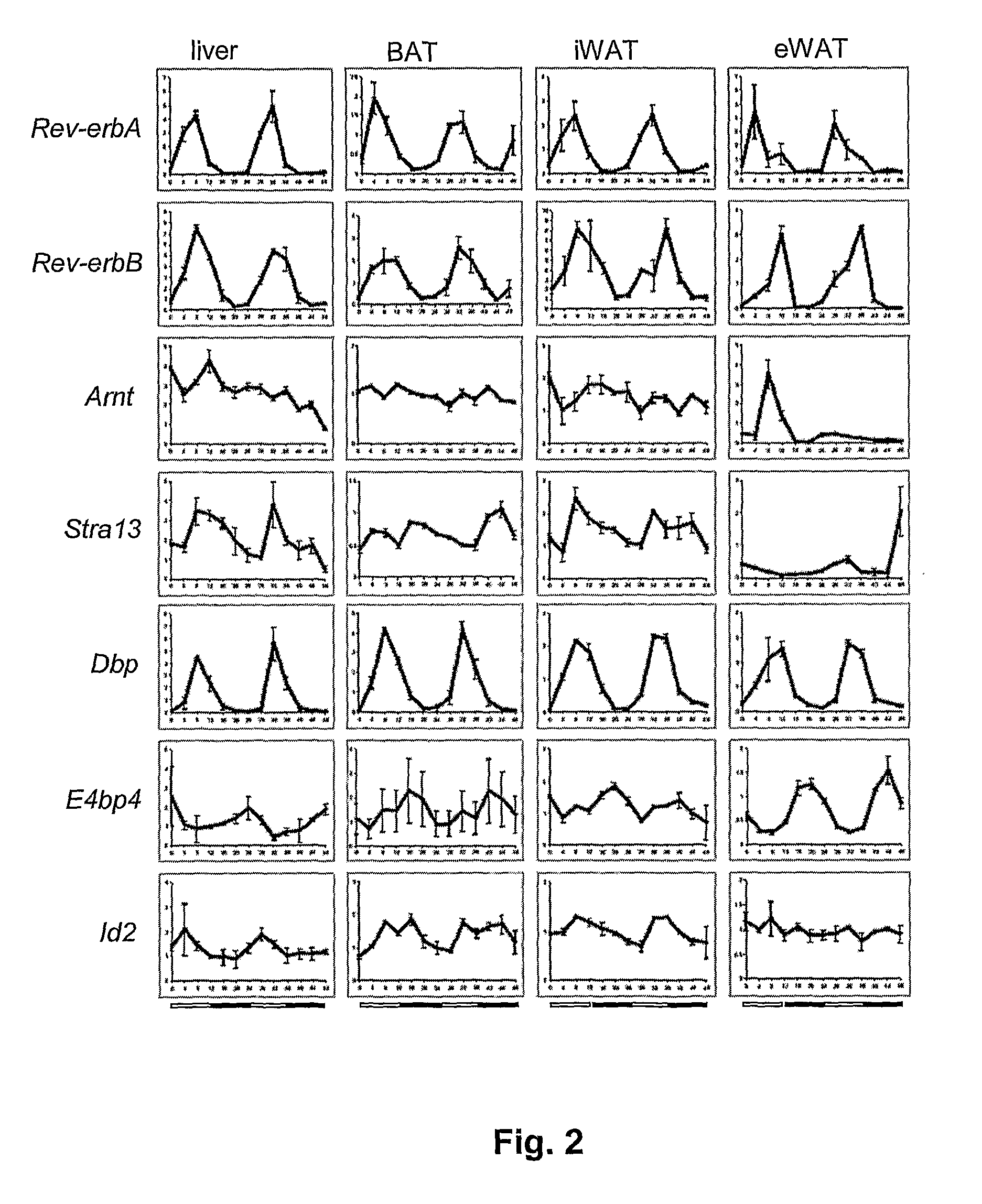 Modulation of Peripheral Clocks in Adipose Tissue