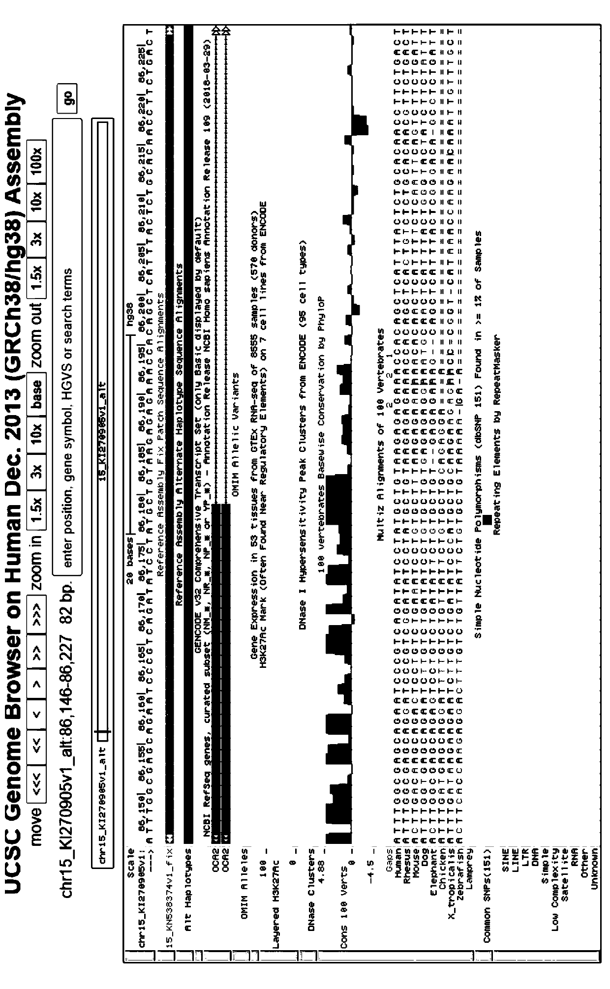 Skin whitening capability gene detection primer combination and application thereof