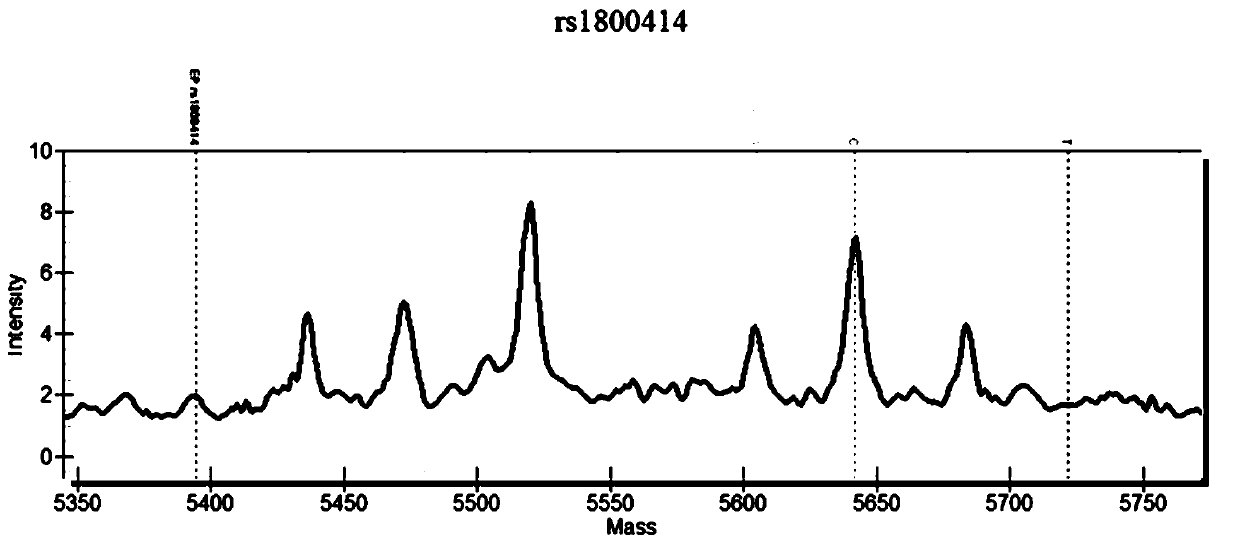 Skin whitening capability gene detection primer combination and application thereof