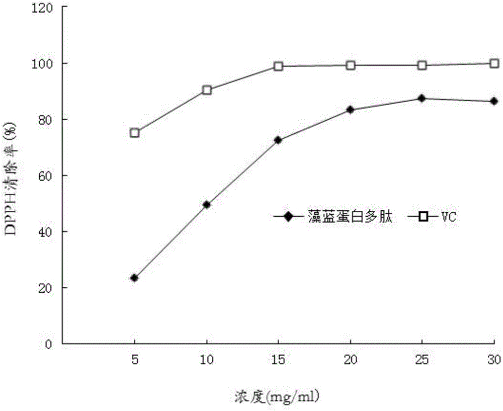 Preparation method for phycocyanin polypeptide