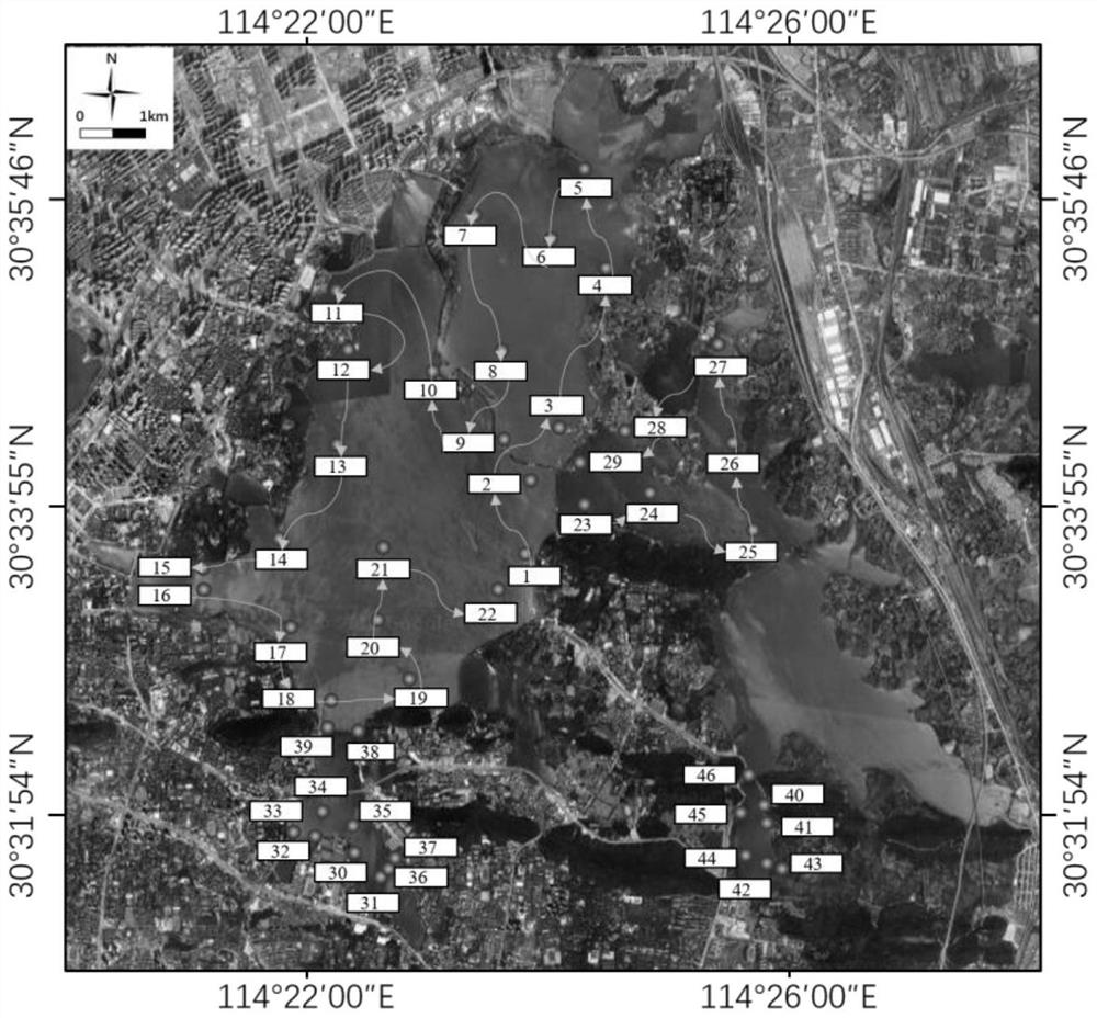 Simulation method and system for urban lake eutrophication based on fvcom and remote sensing inversion