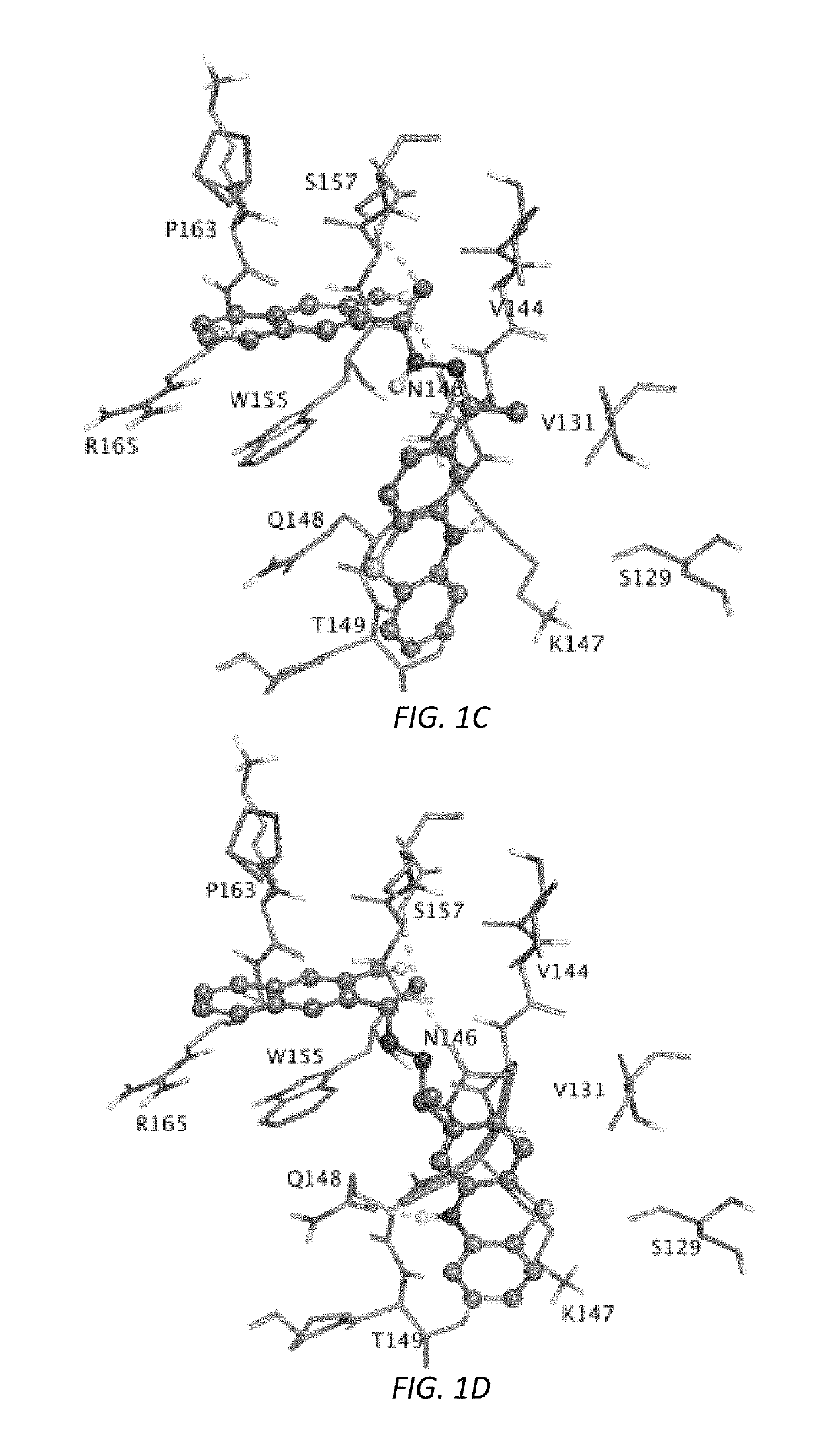 Compositions and methods for treating Friedreich's ataxia