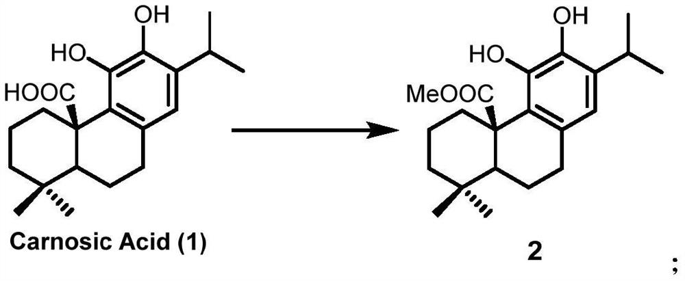 A kind of preparation method of icetexane type abietane diterpene