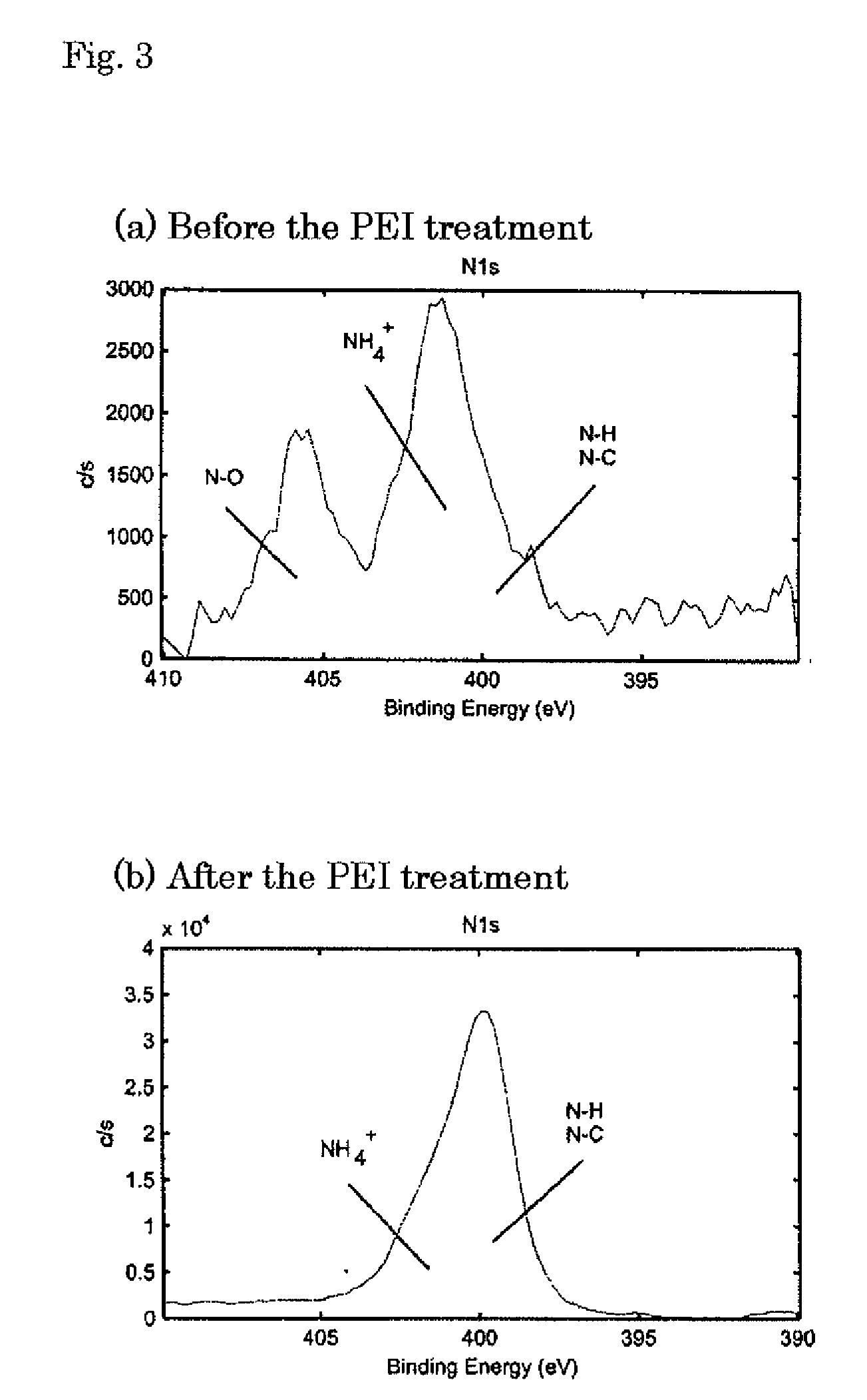 Carbon membrane having biological molecule immobilized thereon