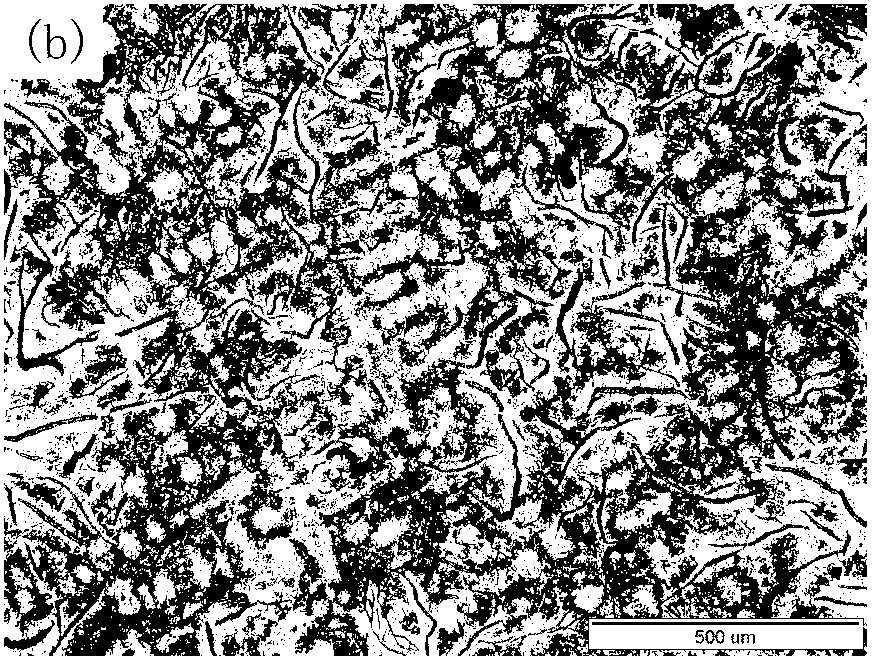 Modificator for changing growth morphology of primary austenite of gray cast irons, preparation method and application thereof