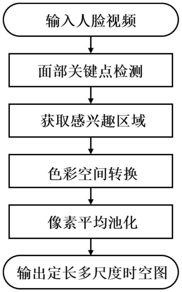 Face video heart rate estimation system and method based on token learning