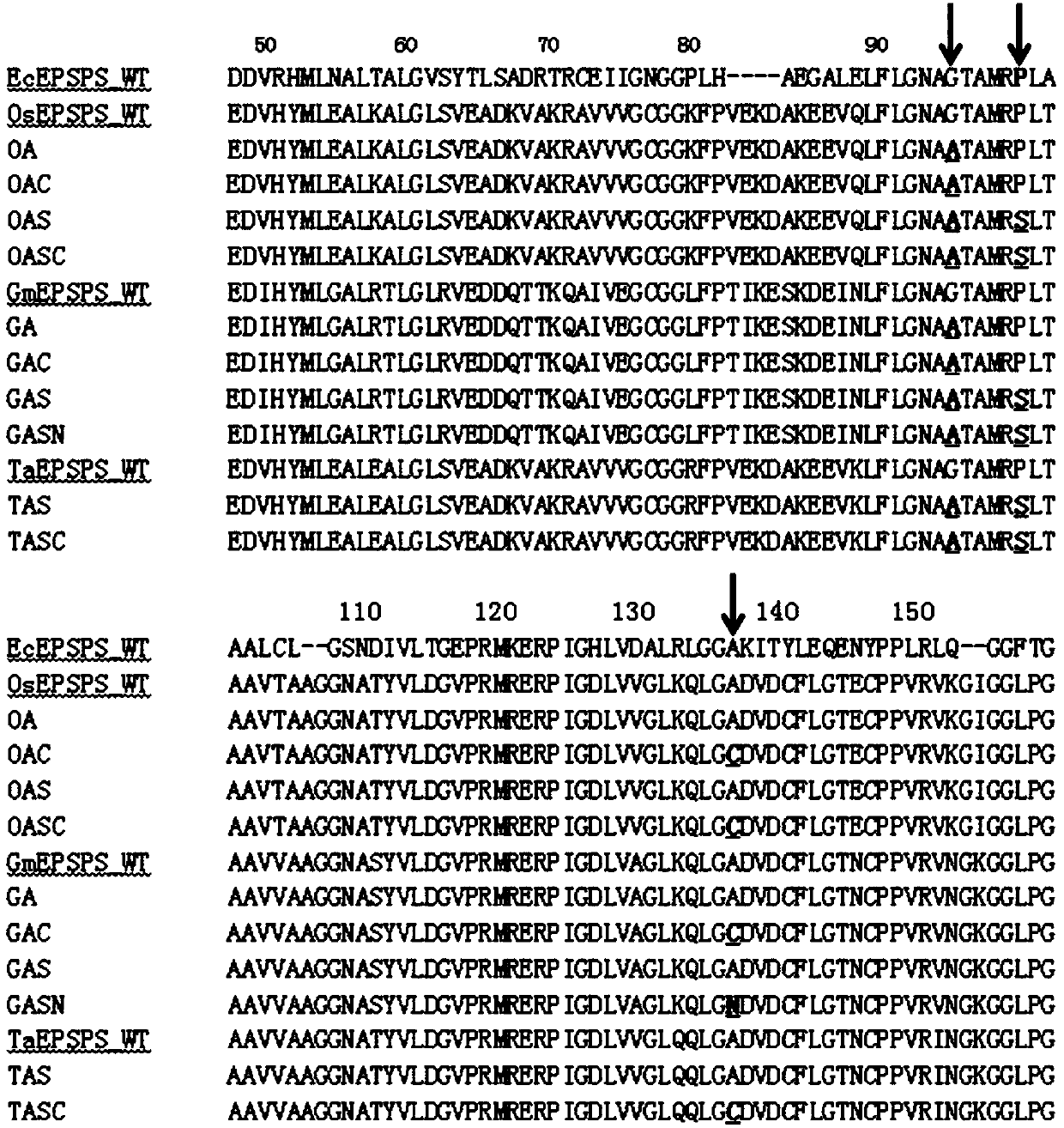 Plant EPSPS mutant containing A138X1 and L195X2 mutation and coding genes and application of plant EPSPS mutant