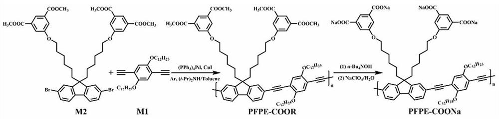A kind of amphiphilic fluorescent conjugated polymer, preparation method and application