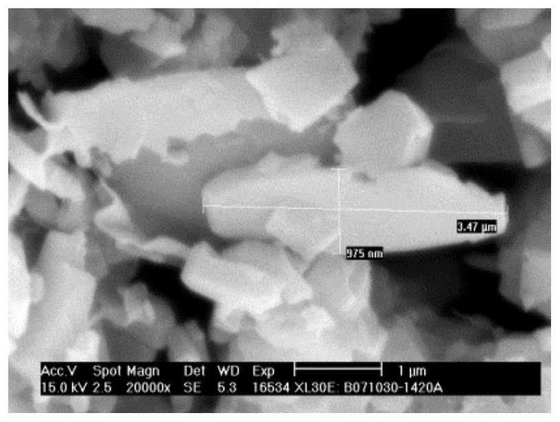 Nano-aggregated sheet-shaped mordenite