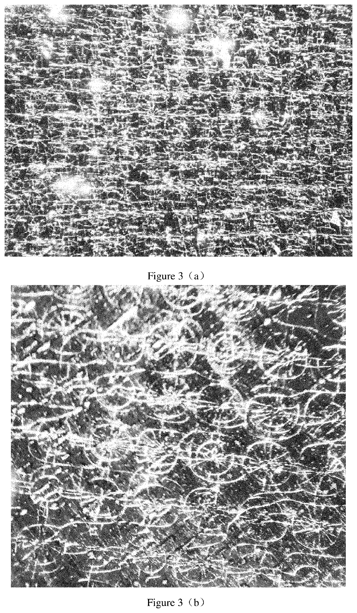 High-performance shielding sheet and preparation method thereof and coil module comprising the same