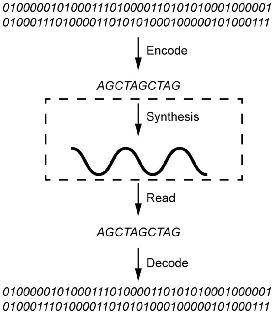 A method for synthesizing texts required for DNA storage based on solid-phase chemical synthesis