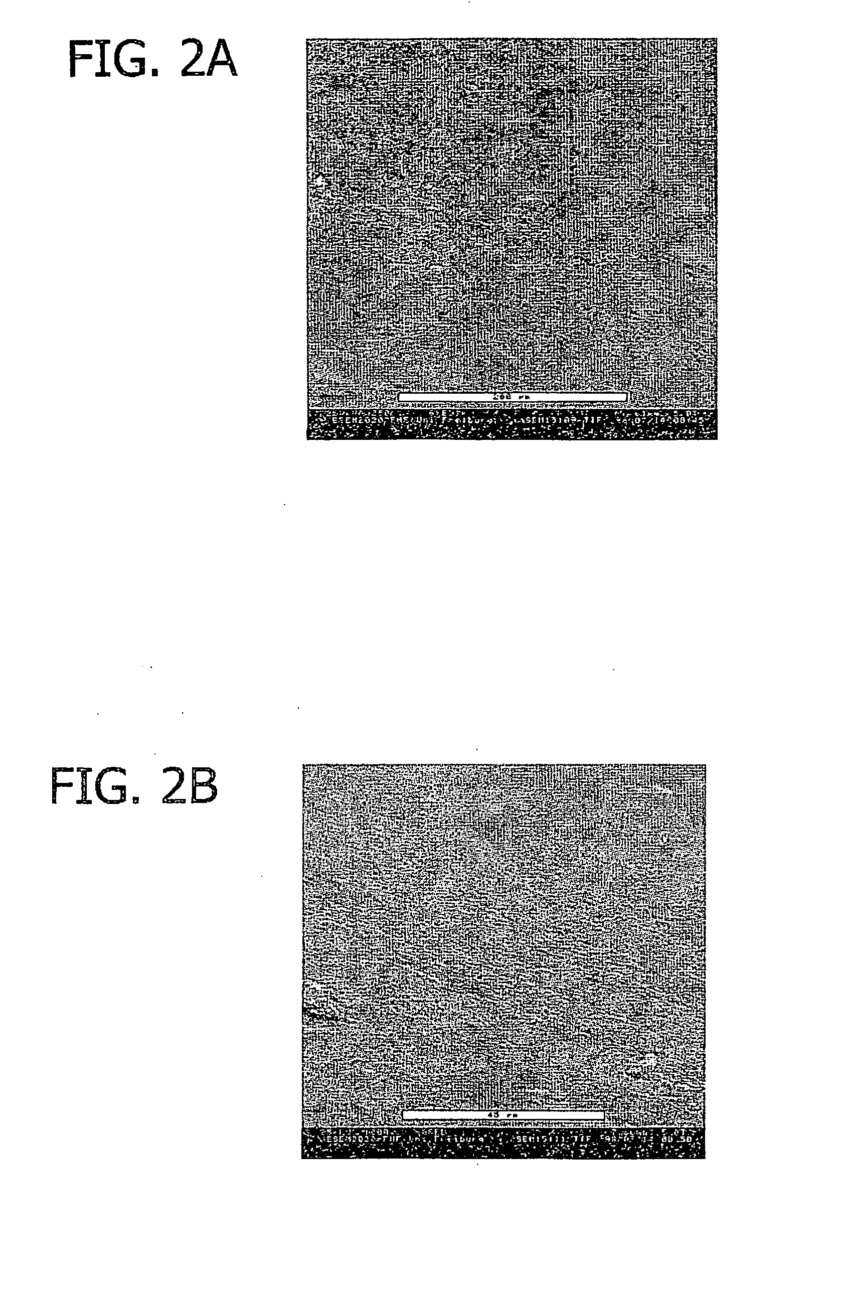 Method for directed cell in-growth and controlled tissue regeneration in spinal surgery