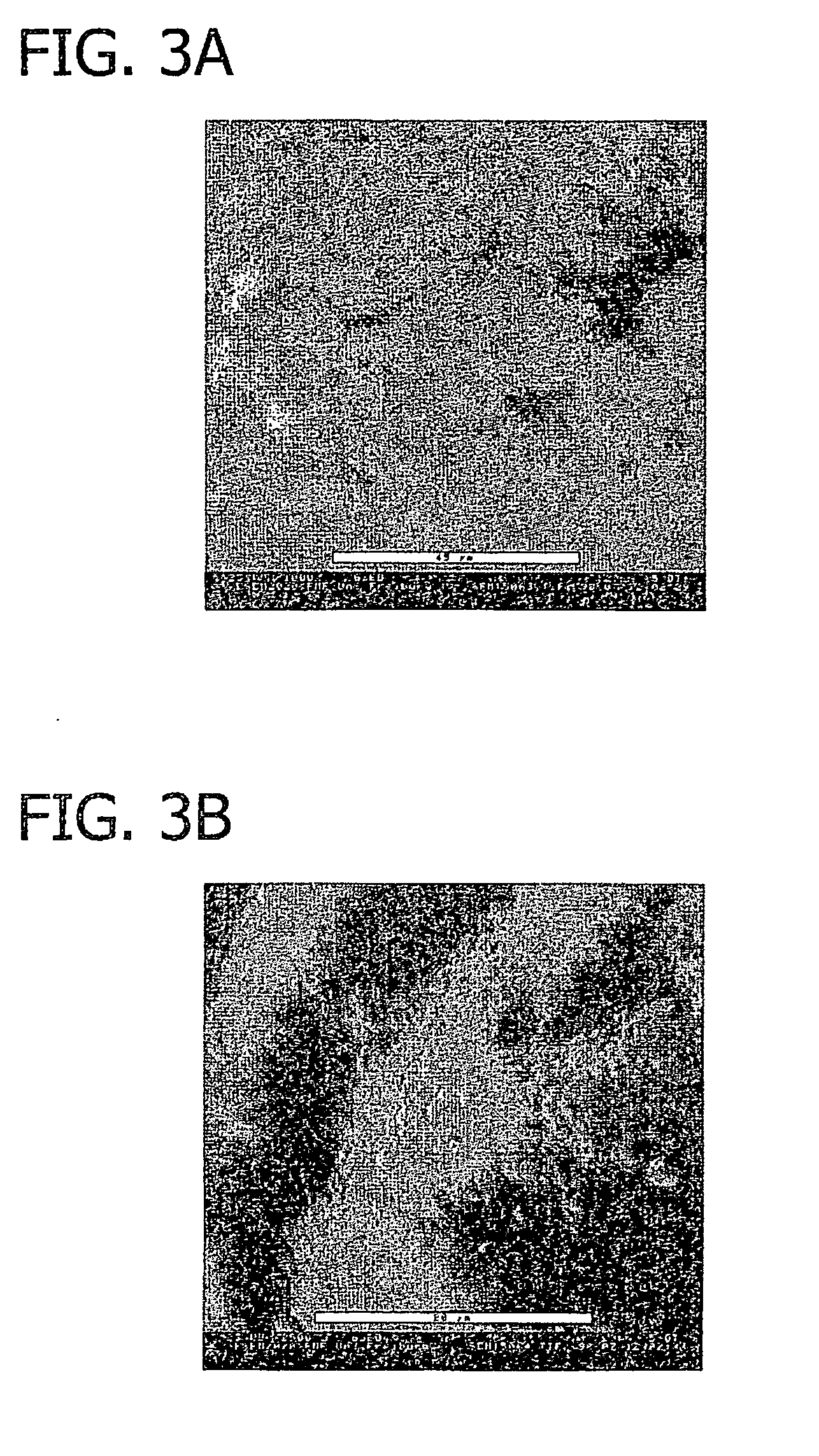 Method for directed cell in-growth and controlled tissue regeneration in spinal surgery