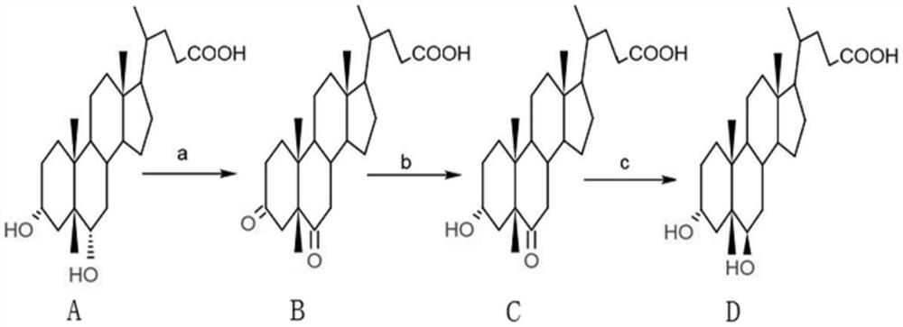 Preparation method of murine deoxycholic acid