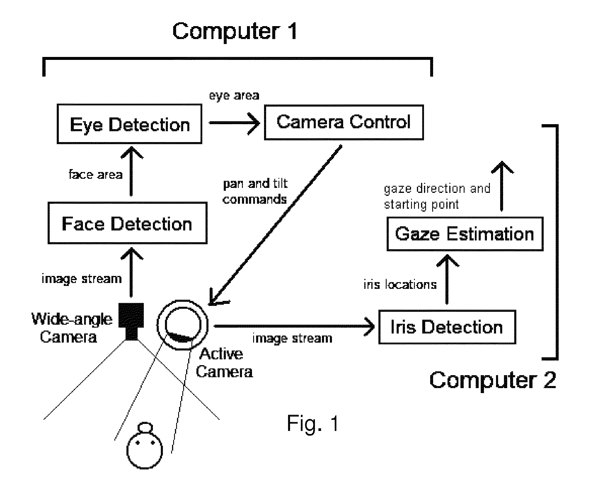 Real time eye tracking for human computer interaction
