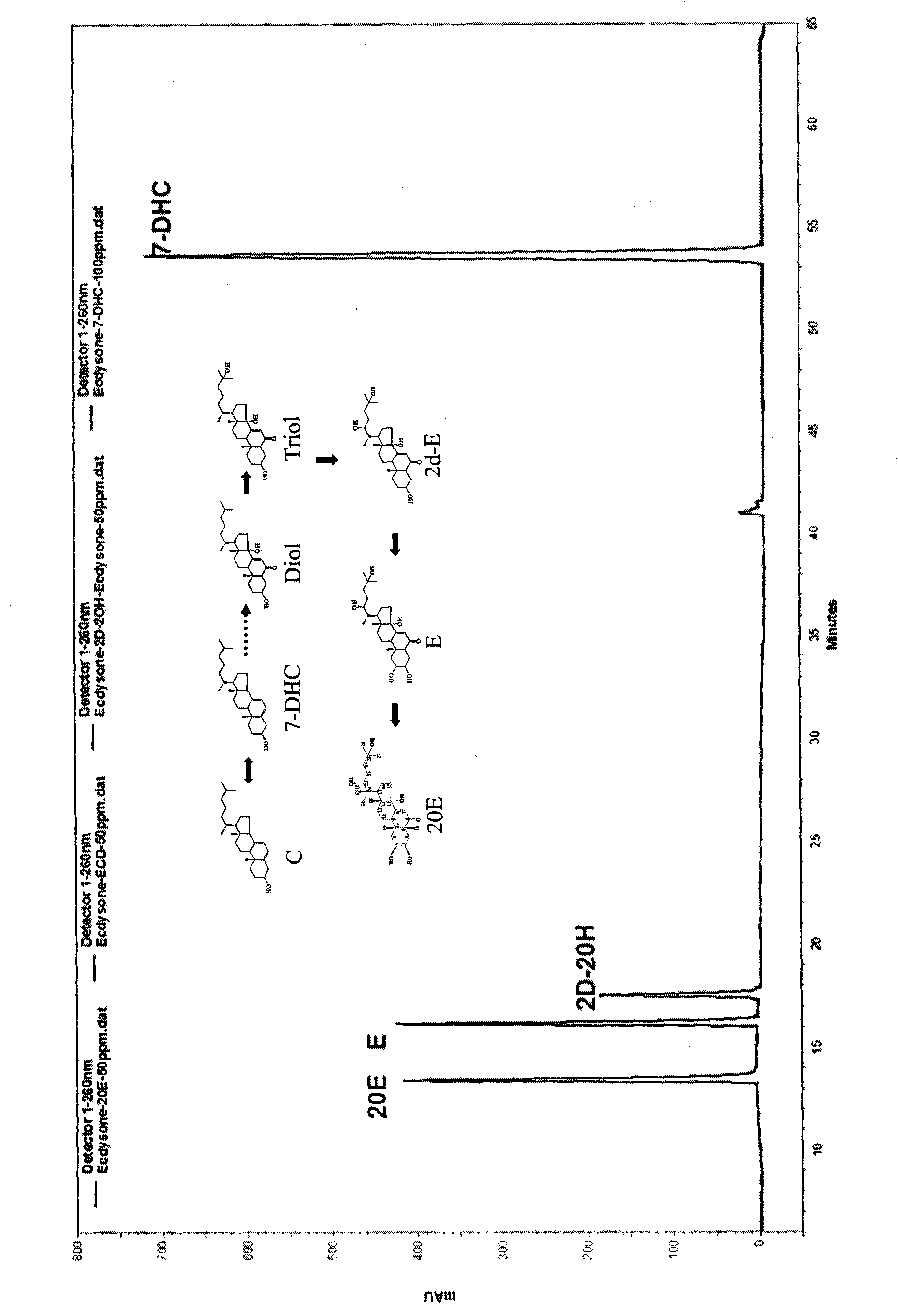 Method applying HPLC and simultaneously determining phytoecdysone substance