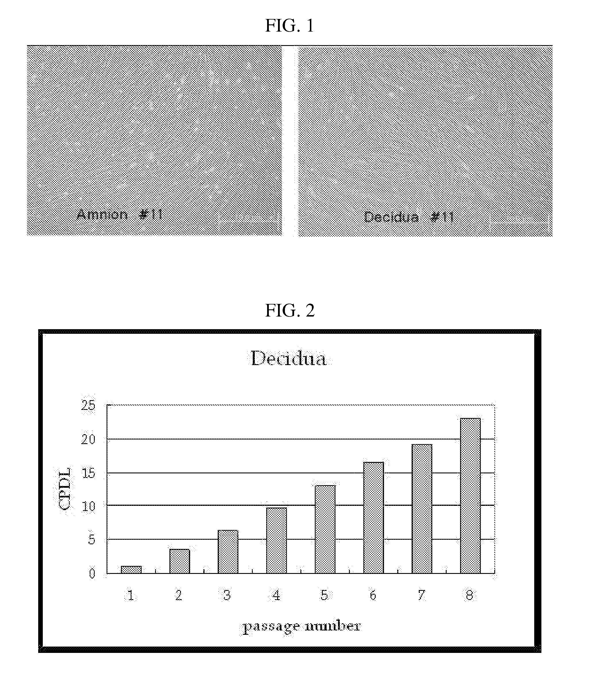 Multipotent stem cells derived from placenta tissue and cellular therapeutic agents comprising the same