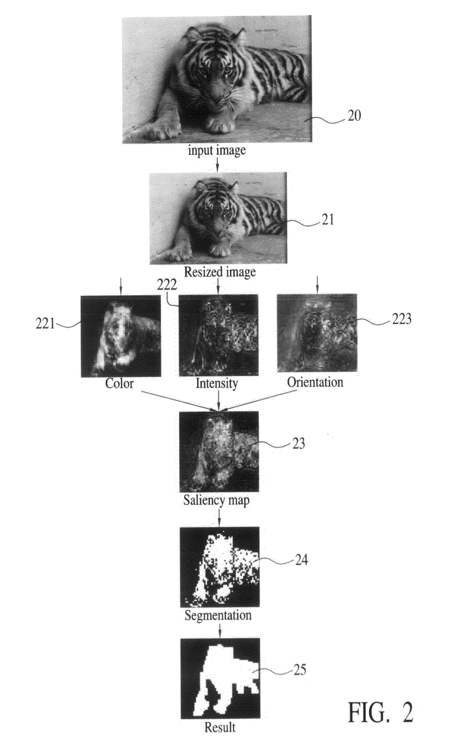 Method of automatically detecting and tracking successive frames in a region of interesting by an electronic imaging device