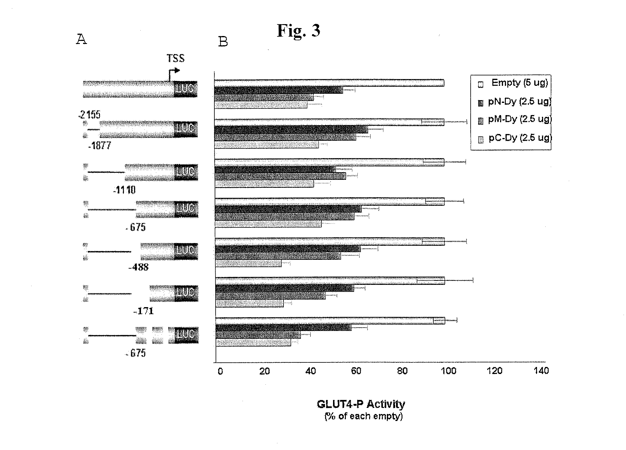 Modulation of glut4 gene promoter activity by ahnak