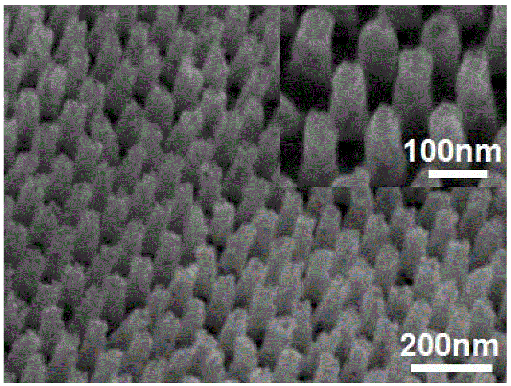 Silver-gold porous nanorod array, preparation method and purpose of silver-gold porous nanorod array