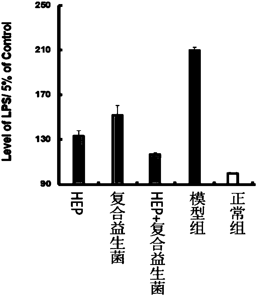 Hericium erinaceus protein-containing microbial preparation, as well as preparation method and application thereof
