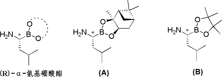 Chiral alpha-amino boric acid esters, a preparation method and an application in the synthesis of bortezomib thereof