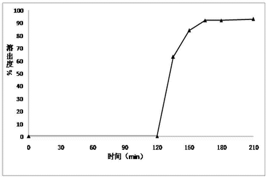 Delayed release preparation containing safe and reliable plasticizer and preparation method thereof