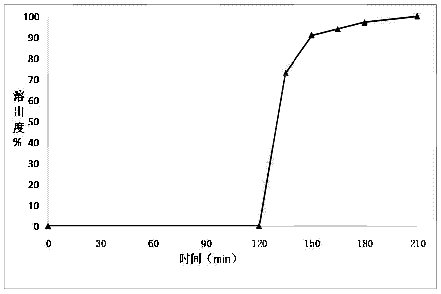 Delayed release preparation containing safe and reliable plasticizer and preparation method thereof