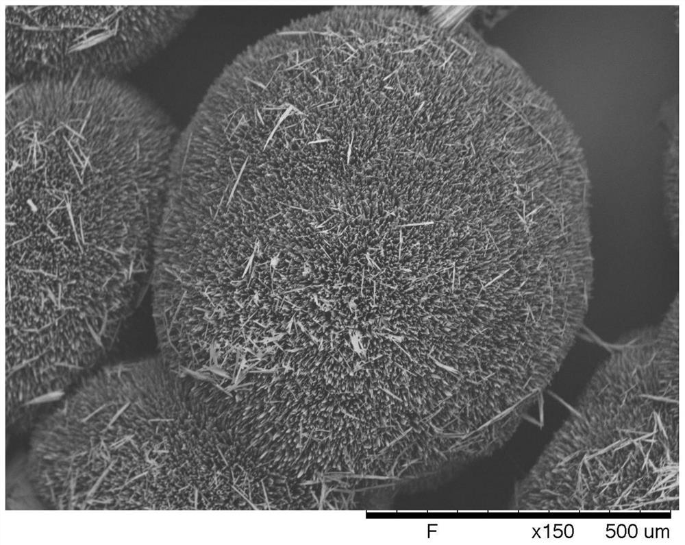 A kind of ultrasonic-assisted preparation spherical praziquantel crystal and method