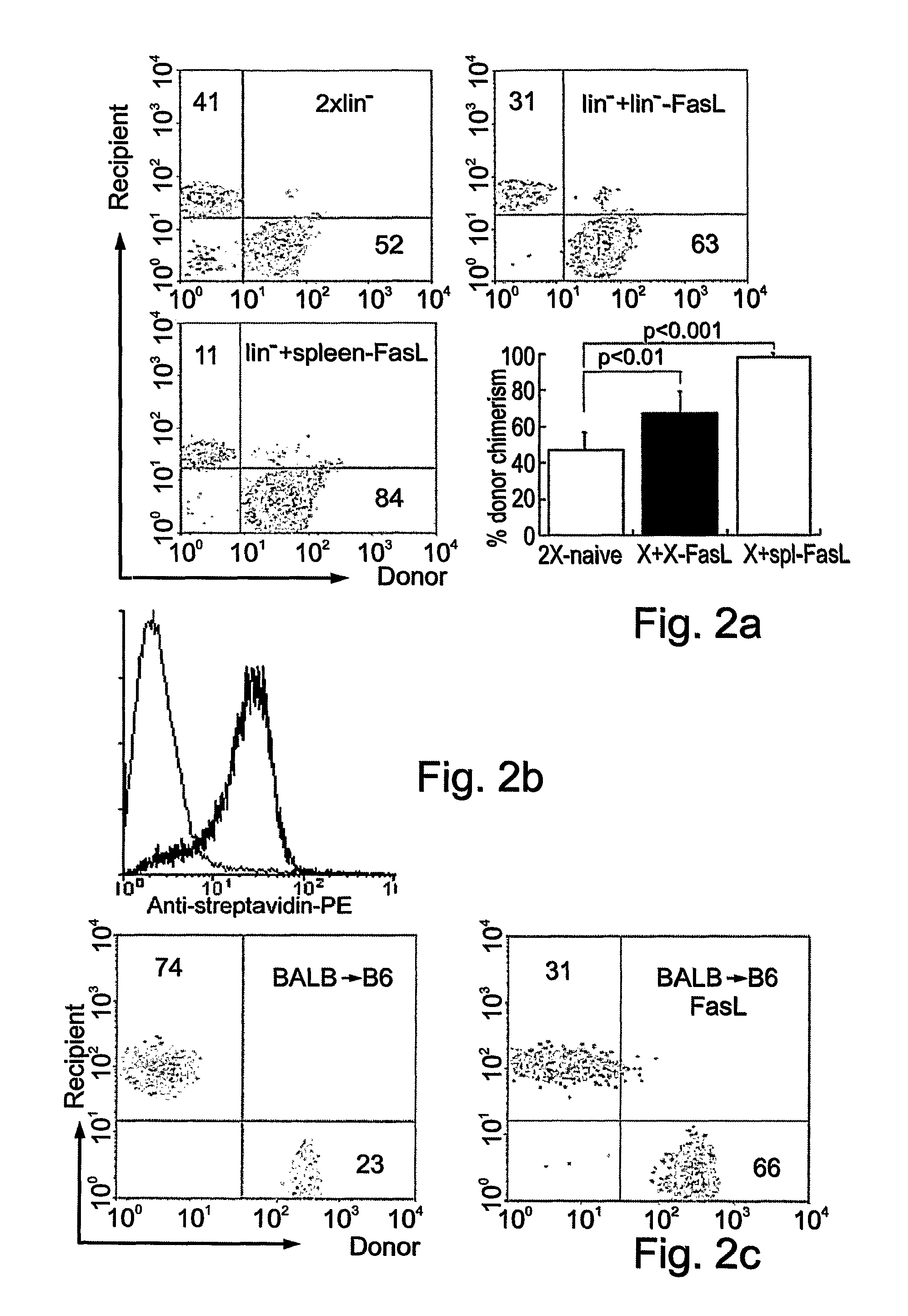 Methods of selecting stem cells and uses thereof