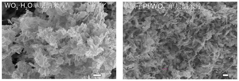 A single-atom Pt-supported tungsten oxide single-layer nanosheet catalyst with ultra-high catalytic activity and its preparation method and application