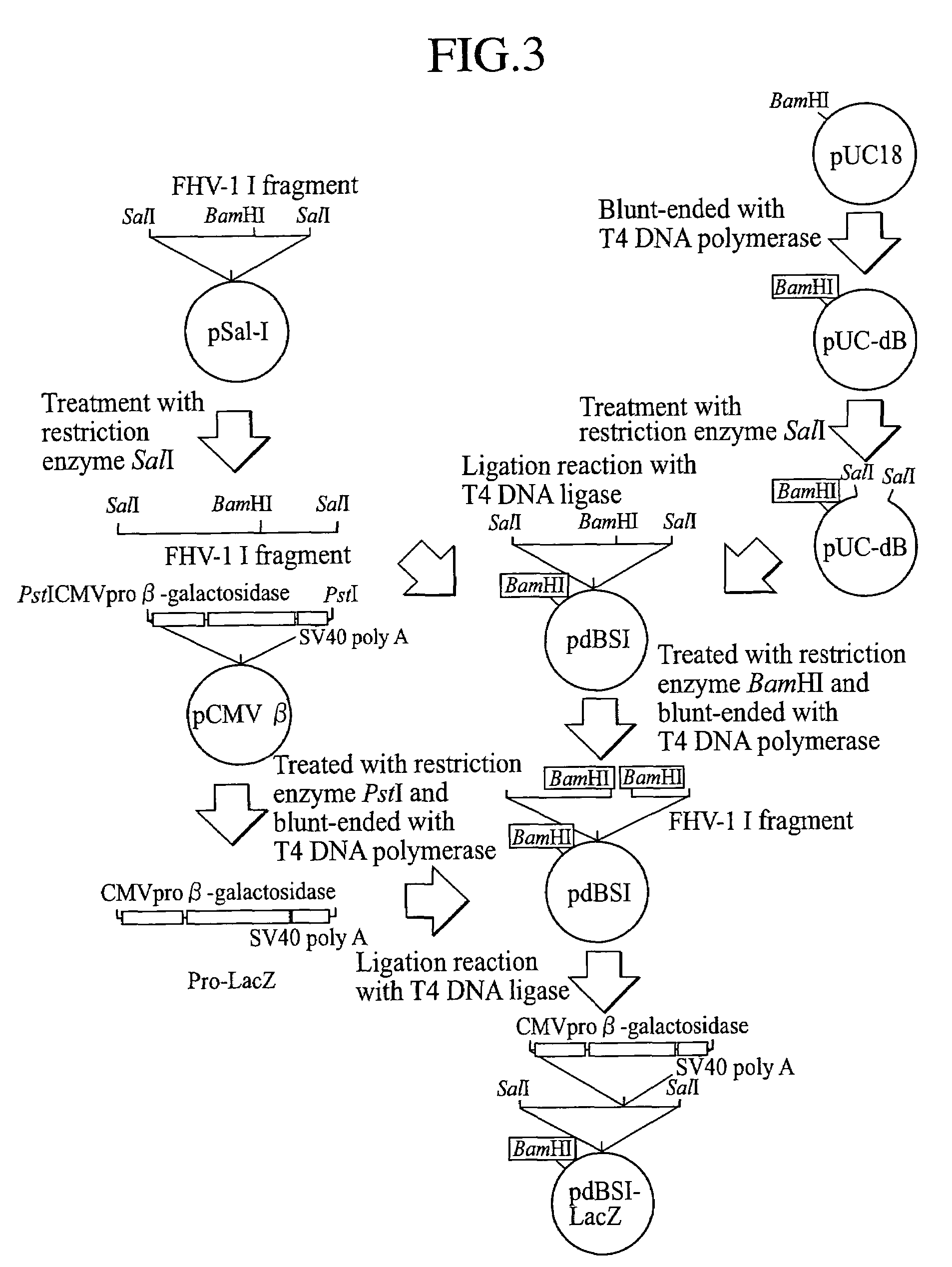 Recombinant feline herpesvirus type 1 and polyvalent vaccine using the same