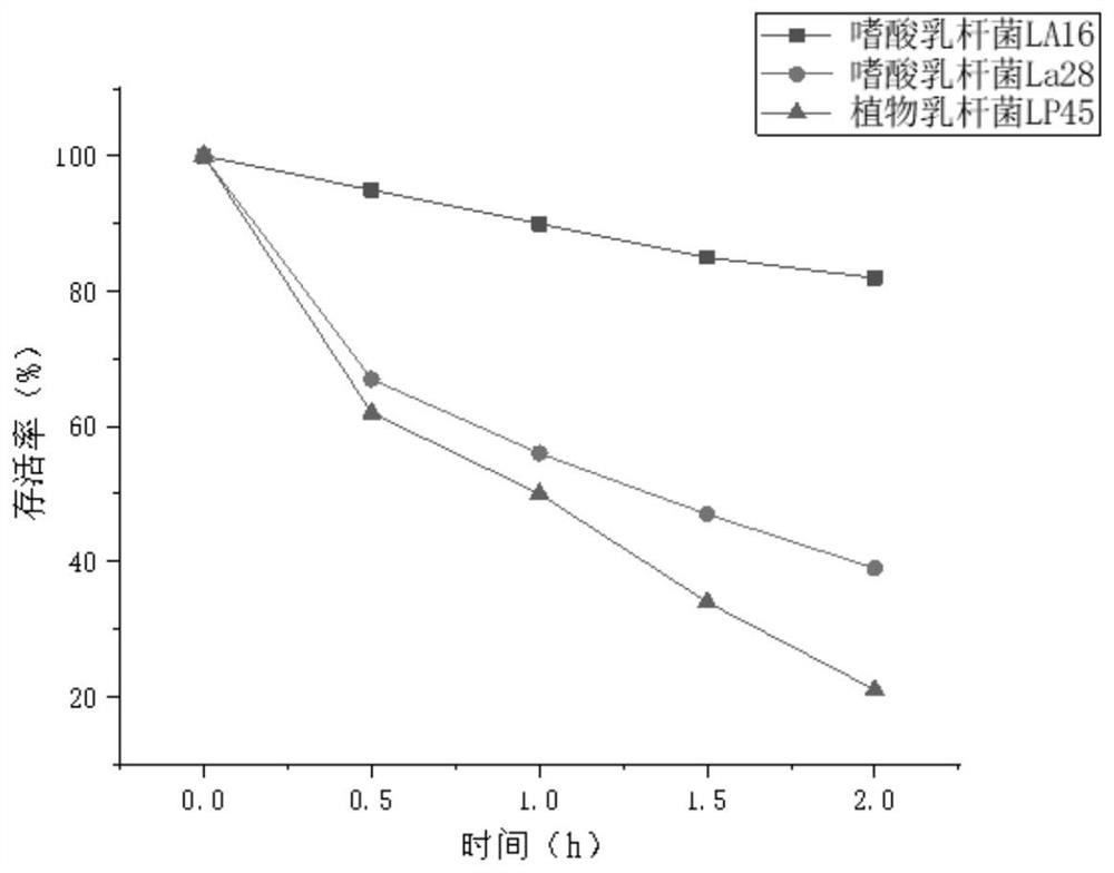 Lactobacillus acidophilus LA16 antagonizing helicobacter pylori and application of lactobacillus acidophilus LA16