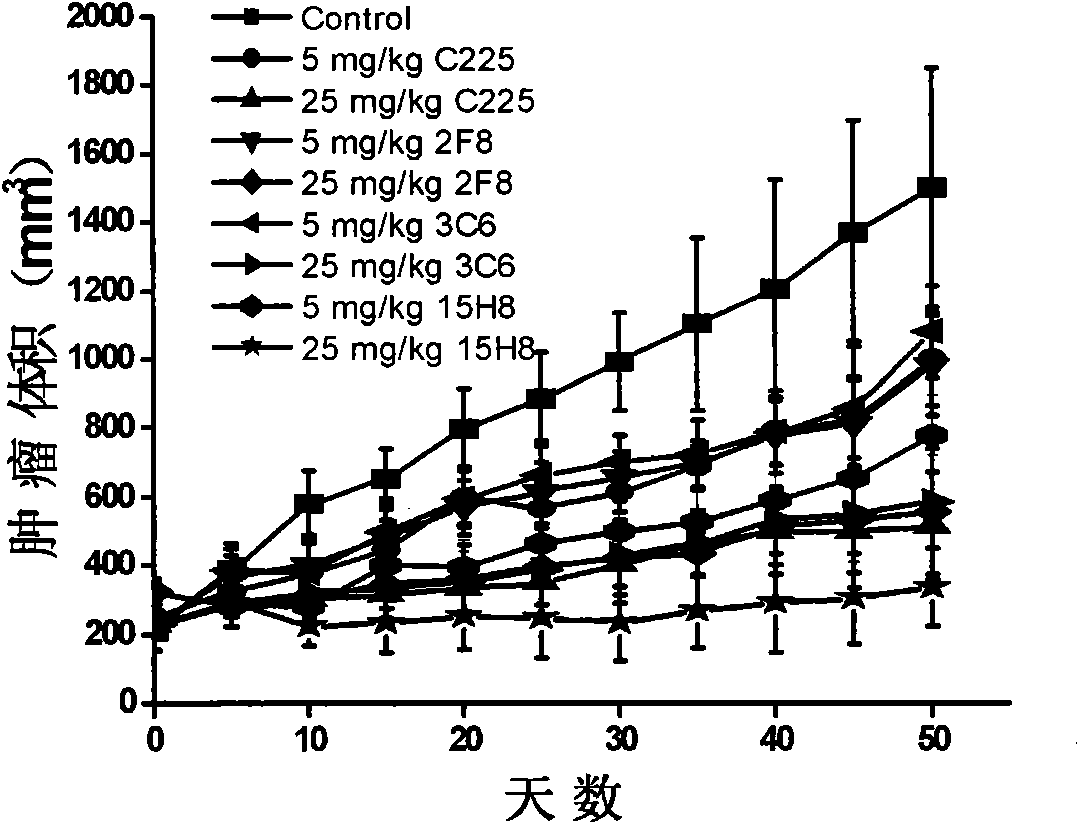 Human monoclonal antibody against EGFR, preparation method and purpose thereof