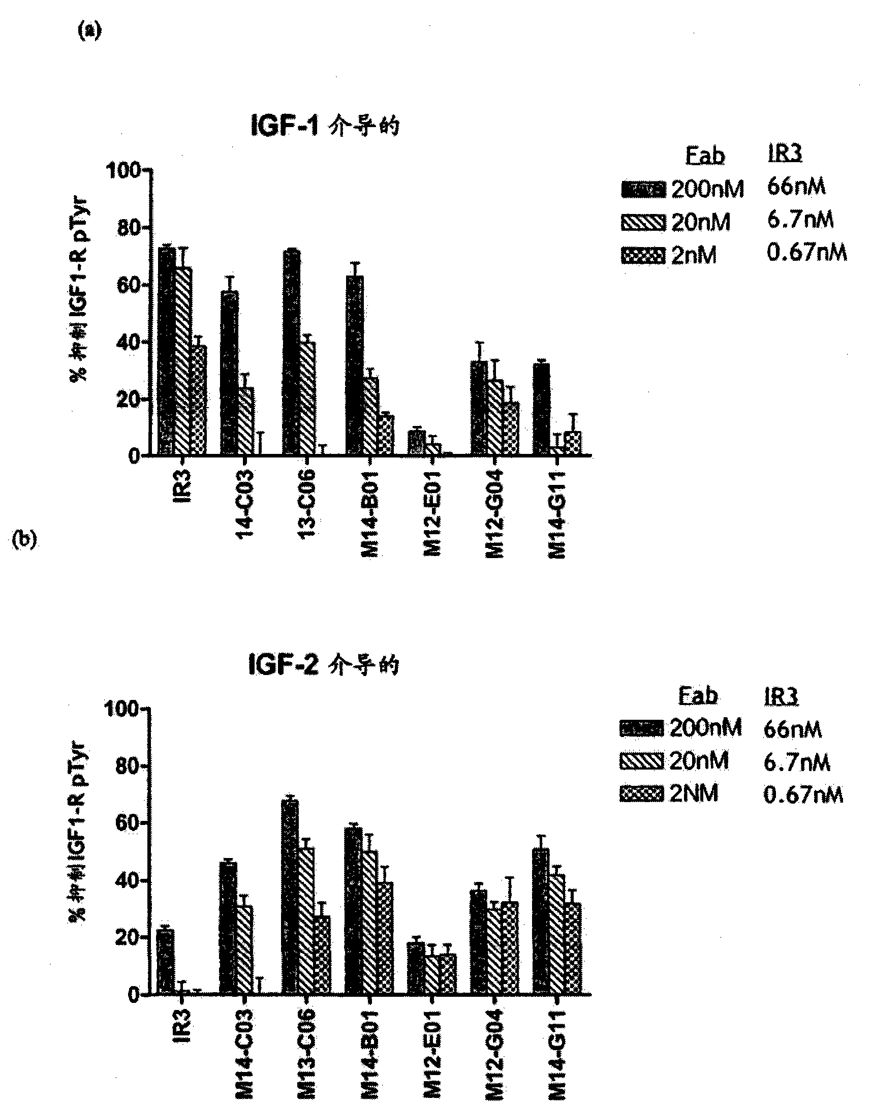 Anti-IGF-1R antibodies and uses thereof