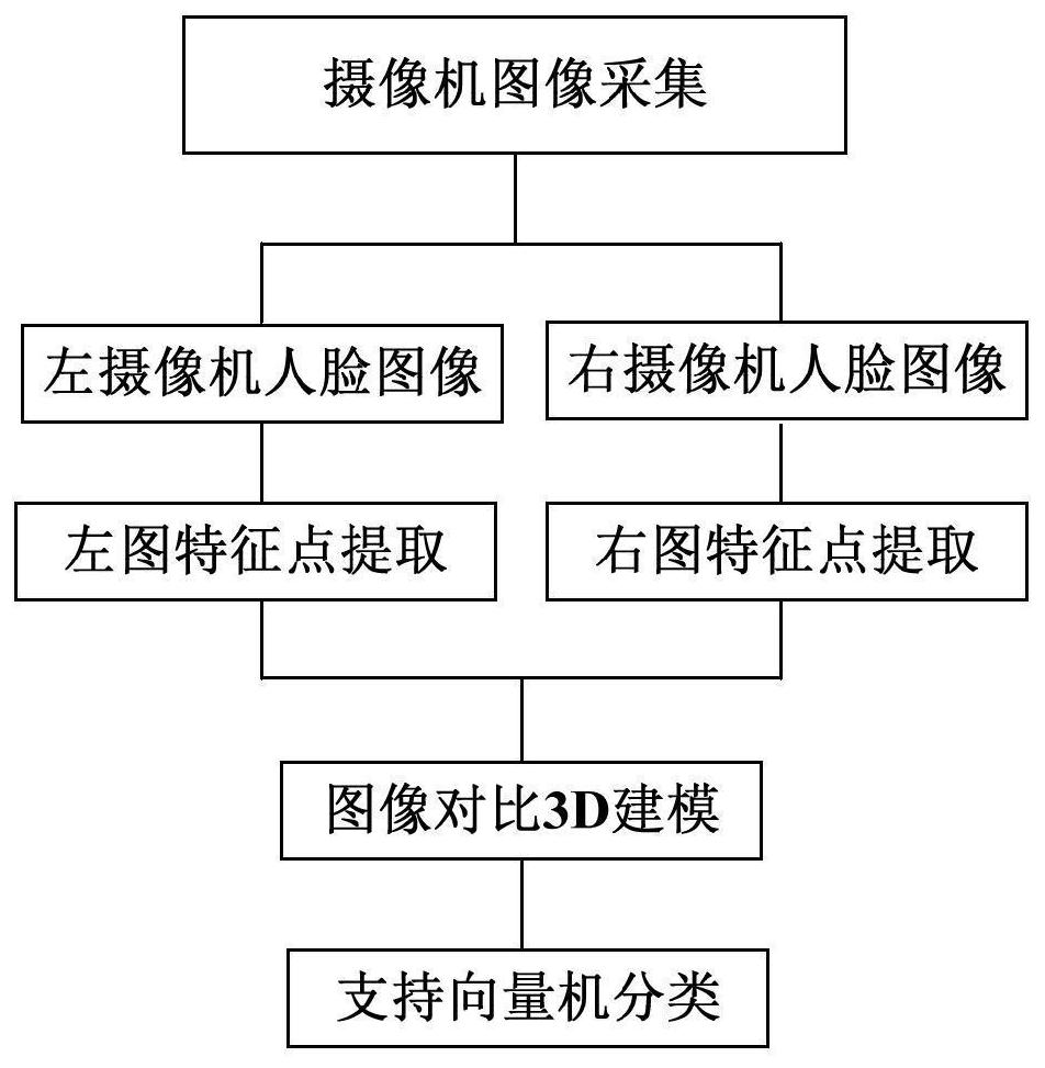 Face detection and recognition method based on binocular vision