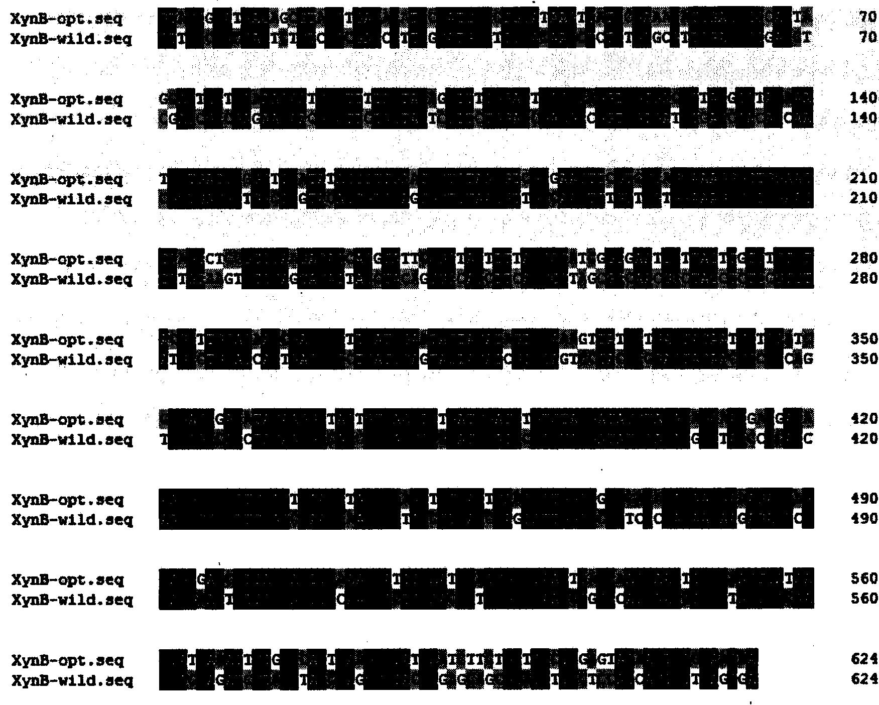 Recombinant plasmid efficiently expressing xylanase and construction method for recombination Pichia pastoris