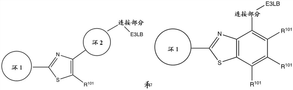 Bi-functional compounds and methods for targeted ubiquitination of androgen receptor