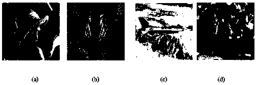 A Robust Color Image Watermarking Method Based on Combination Domain