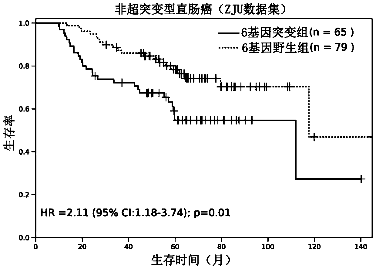 Group of genes for molecular typing of non-hyper-mutant rectal cancer and application thereof