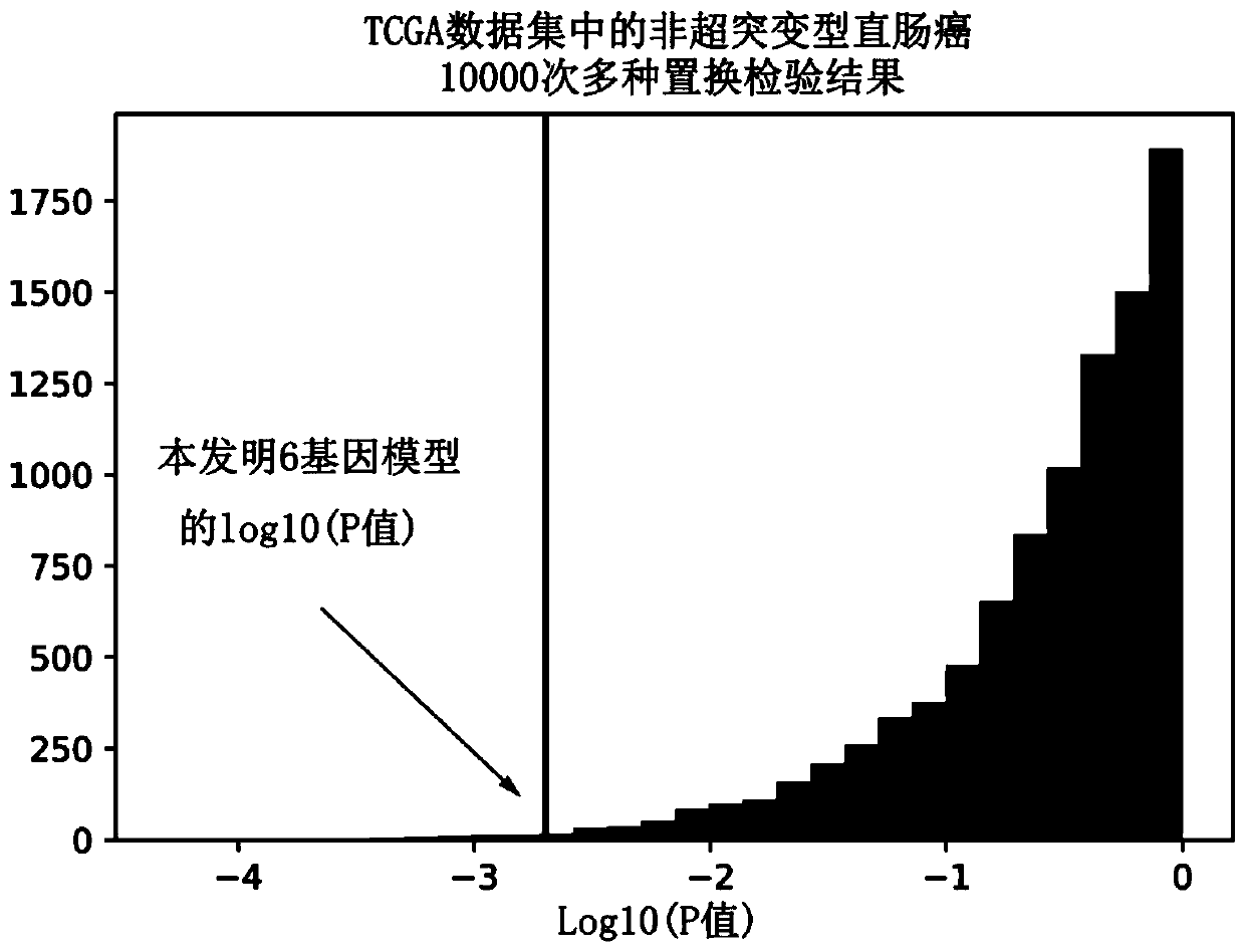 Group of genes for molecular typing of non-hyper-mutant rectal cancer and application thereof